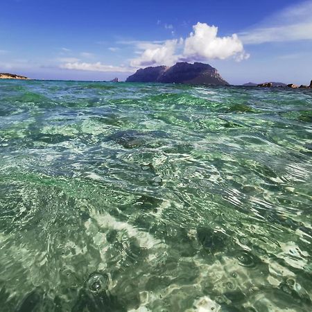 Appartamento Da Wanna Olbia Kültér fotó