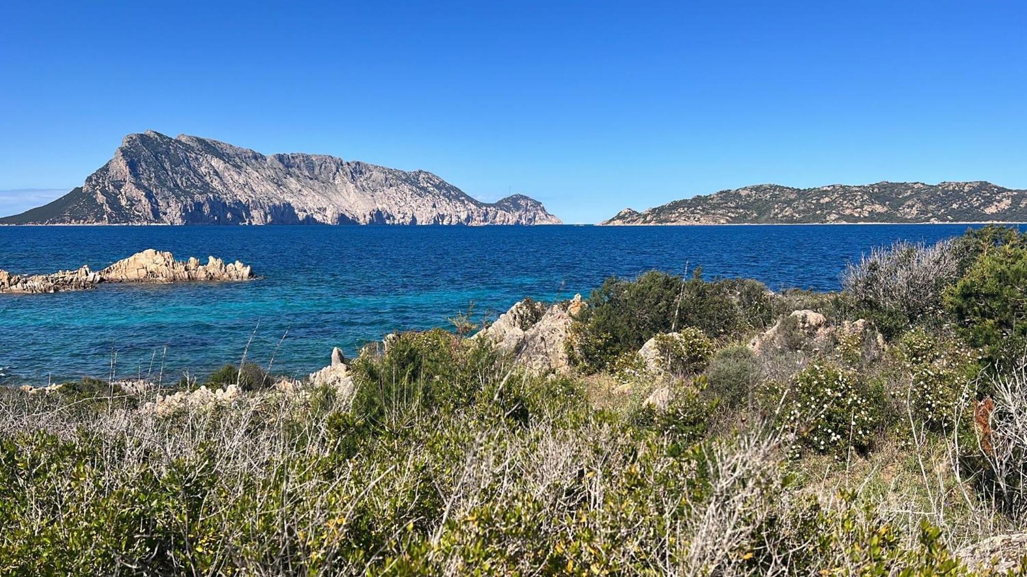 Appartamento Da Wanna Olbia Kültér fotó
